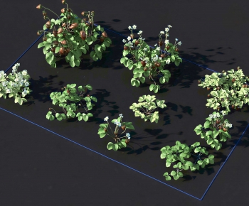 Modern Crop-ID:198019986