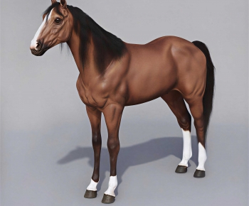Modern Animal Horse-ID:810242897