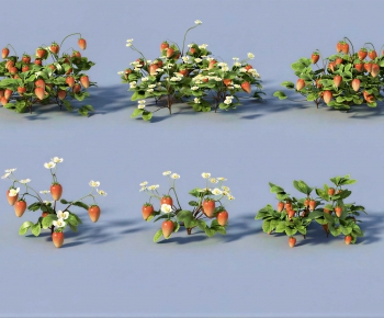 Modern Crop-ID:698179019