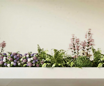 Modern Flower Bed, Flower Bowl, Flower Box-ID:464396955