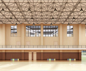 Modern Basketball Arena-ID:920419789