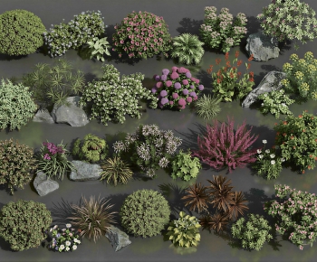 Modern Shrubbery-ID:213044881