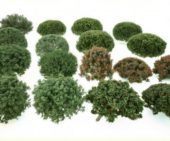 Modern Shrubbery-ID:737649924