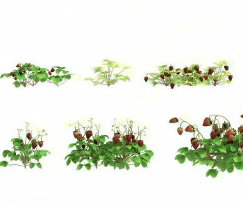 Modern Crop-ID:866750966