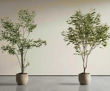 Modern Ground Green Plant Potted Plants-ID:890142921