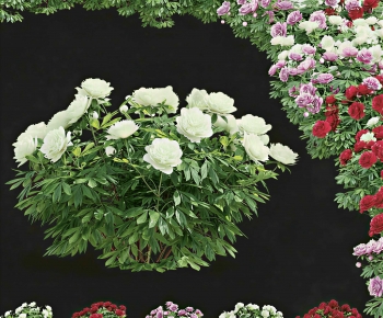 Modern Shrubbery-ID:901298053