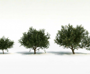 Modern Tree-ID:195565942