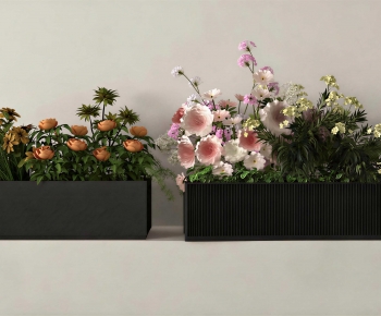 Modern Flower Bed, Flower Bowl, Flower Box-ID:955133918