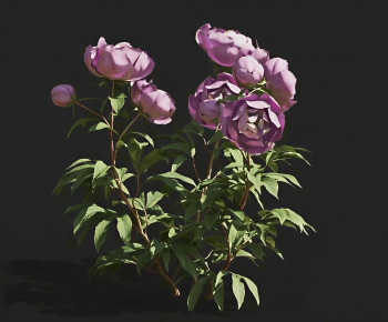 Modern Flowers And Grass-ID:546700955