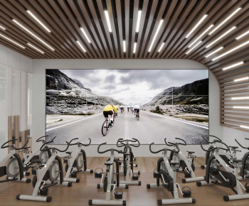 Modern Gym-ID:122299912