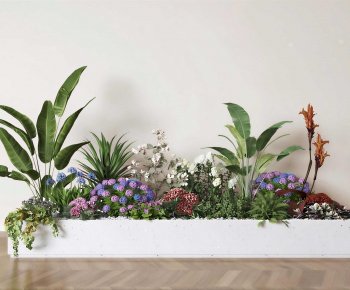 Modern Flower Bed, Flower Bowl, Flower Box-ID:466259963