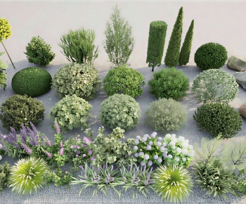 Modern Shrubbery-ID:345380339