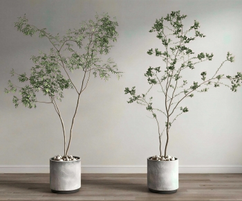 Modern Ground Green Plant Potted Plants-ID:240899091