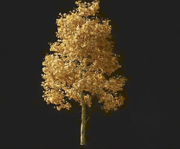 Modern Tree-ID:609935054