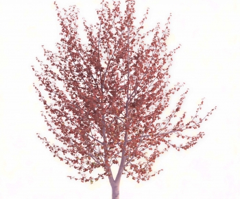 Modern Tree-ID:723151929