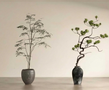 Wabi-sabi Style Ground Green Plant Potted Plants-ID:908401976