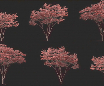 Modern Tree-ID:836582901