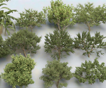 Modern Shrubbery-ID:614897971