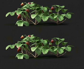 Modern Crop-ID:112797028