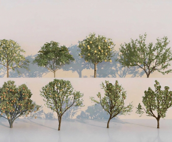 Modern Tree-ID:502113108