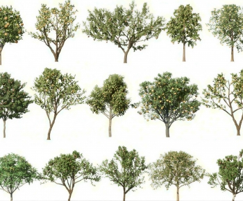 Modern Tree-ID:176525126