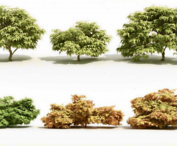 Modern Shrubbery-ID:999423982
