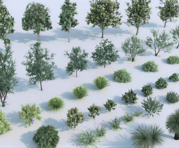 Modern Tree/shrub/grass-ID:369643937