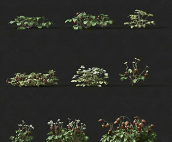 Modern Crop-ID:753472092