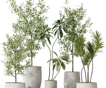 Modern Ground Green Plant Potted Plants-ID:574050903