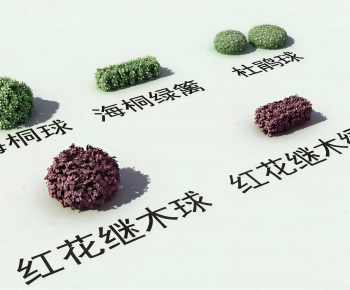 Modern Shrubbery-ID:277403124