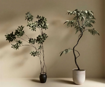 Modern Ground Green Plant Potted Plants-ID:494400982