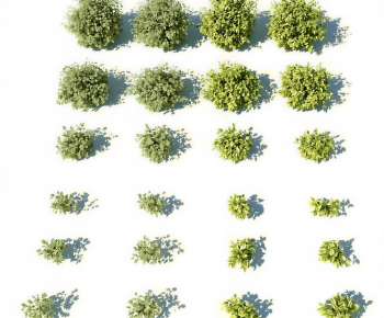 Modern Shrubbery-ID:800683986