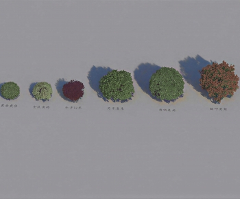 Modern Shrubbery-ID:958328964