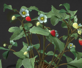 Modern Crop-ID:133275997