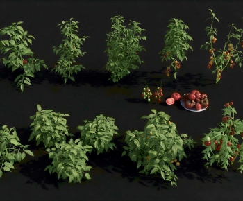 Modern Crop-ID:957922944