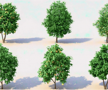 Modern Tree-ID:373008974