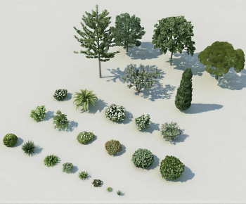 Modern Shrubbery-ID:197184096