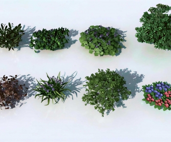 Modern Shrubbery-ID:283684023