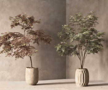 Wabi-sabi Style Ground Green Plant Potted Plants-ID:300275092
