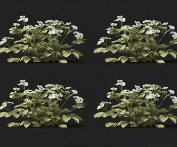 Modern Shrubbery-ID:700926073