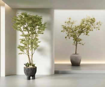 Wabi-sabi Style Ground Green Plant Potted Plants-ID:467075111