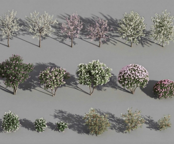 Modern Shrubbery-ID:719580766