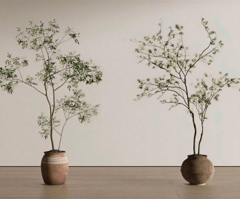 Wabi-sabi Style Ground Green Plant Potted Plants-ID:543327094