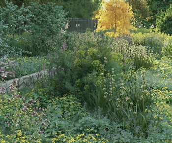 Modern Flowers And Grass-ID:561675079