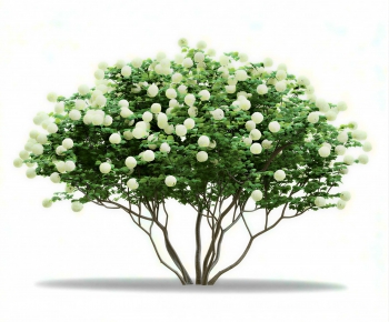 Modern Shrubbery-ID:821542985