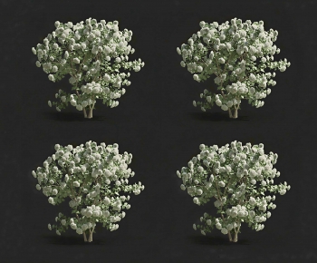 Modern Shrubbery-ID:628432991