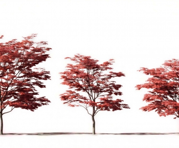 Modern Tree-ID:604577068
