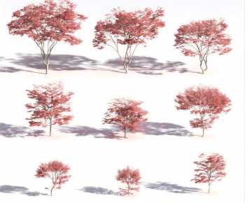 Modern Tree-ID:928971059