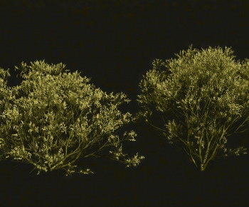 Modern Shrubbery-ID:122651107