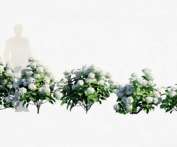 Modern Shrubbery-ID:271661044